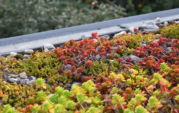 the cost of Dimple green roof installation